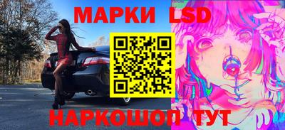 2c-b Кингисепп