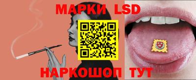 2c-b Кингисепп