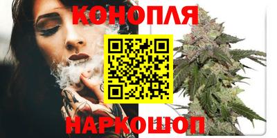2c-b Кингисепп