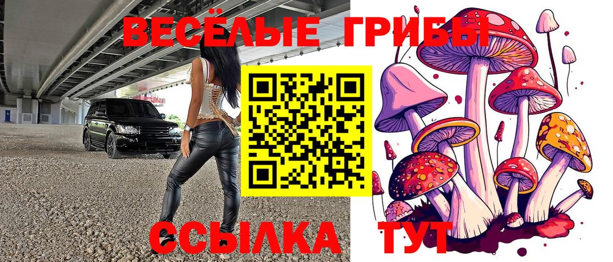 Псилоцибиновые грибы прущие грибы  Псилоцибиновые грибы ЛСД  Вход с VPN  Гусиноозёрск 